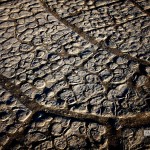 "Circles Everywhere," Mesquite Flats Dunes