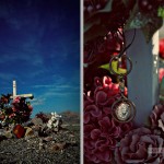 Roadside memorial, in between Baker and Death Valley Junction