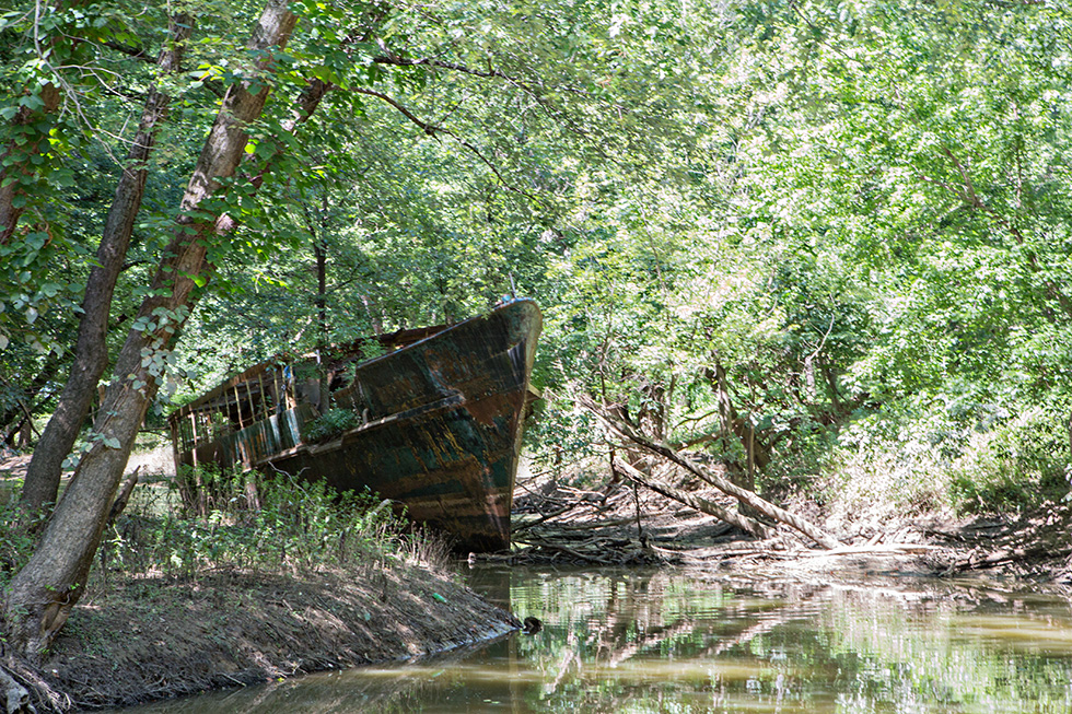 Abandoned ship in the woods