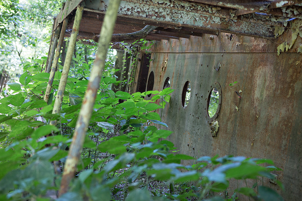 Portholes on abandoned ship in the forest