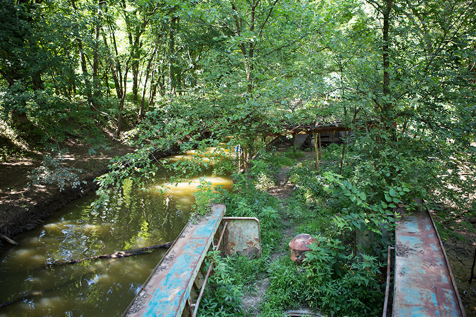 View from the front of the abandoned river ship in the forest