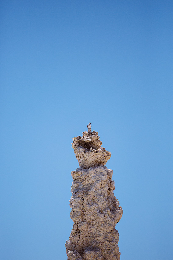 Mono Lake tufa