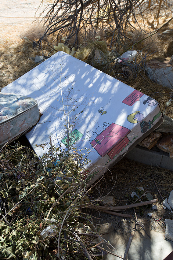 Abandoned Peanuts mattress