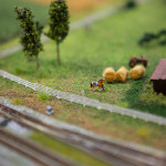 Anaheim Convention Center Model Train Expo-Horses with Large Hay Rolls