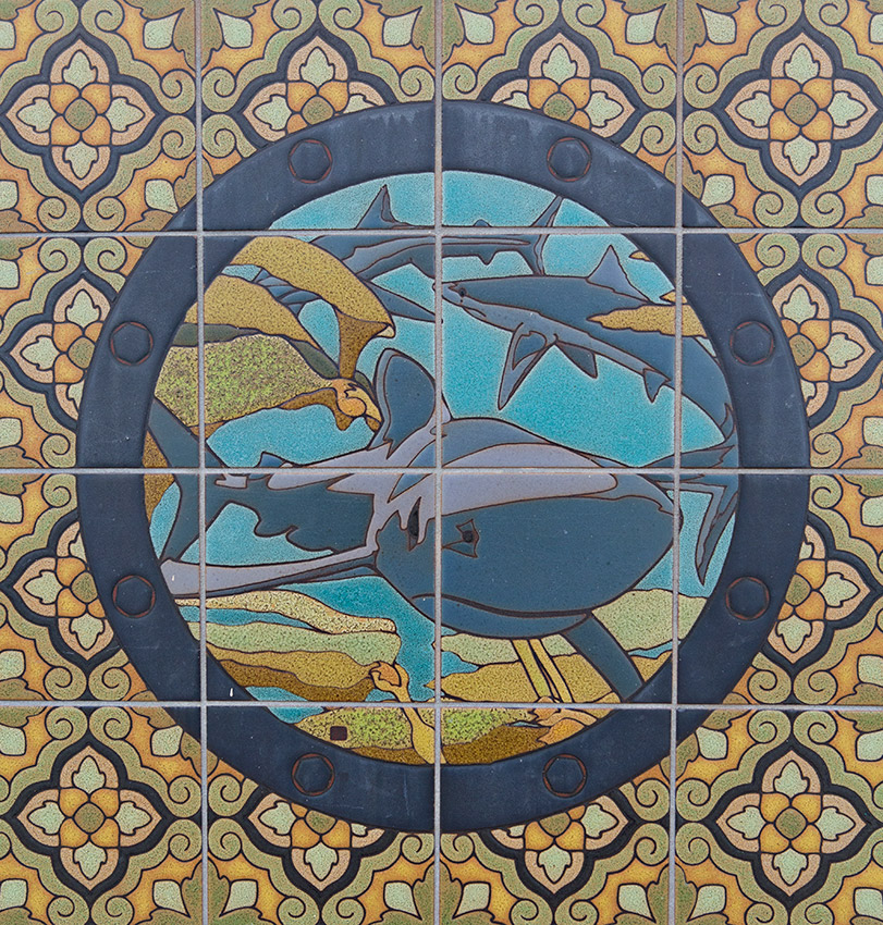 Shark mosaic on Catalina