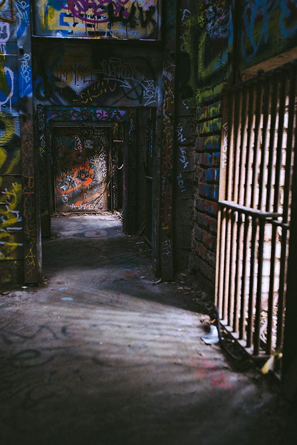 Abandoned Animal Cage