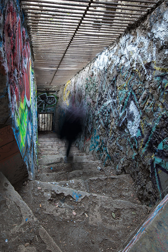 Old Griffith Park Zoo stairs