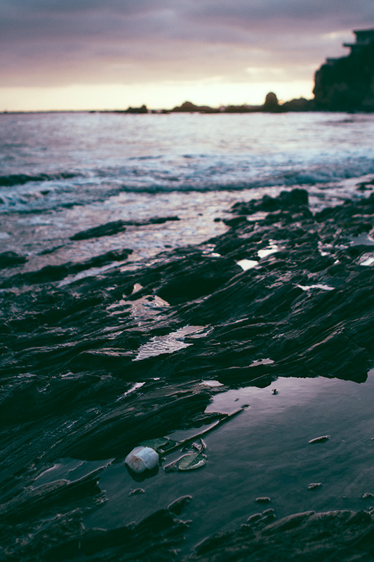 Corona Del Mar sunset and roses