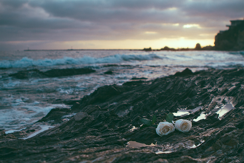 Corona Del Mar sunset and flowers