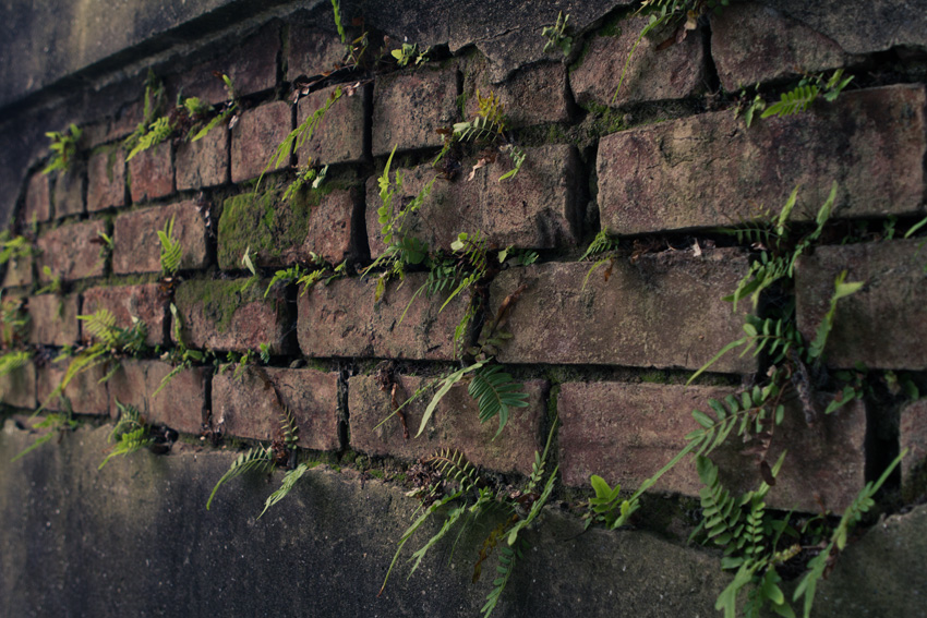 Interesting wall in New Orleans