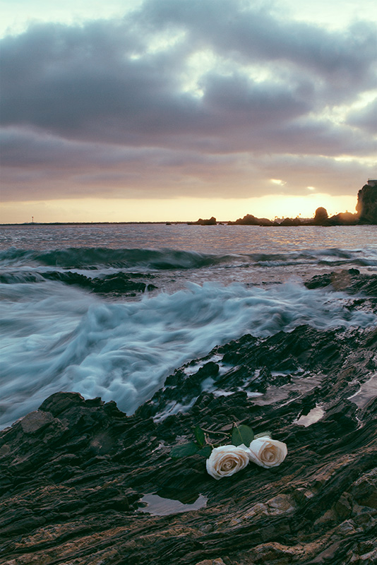 Corona Del Mar sunset and flowers