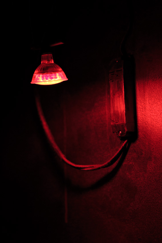 Red light, Paris aquarium