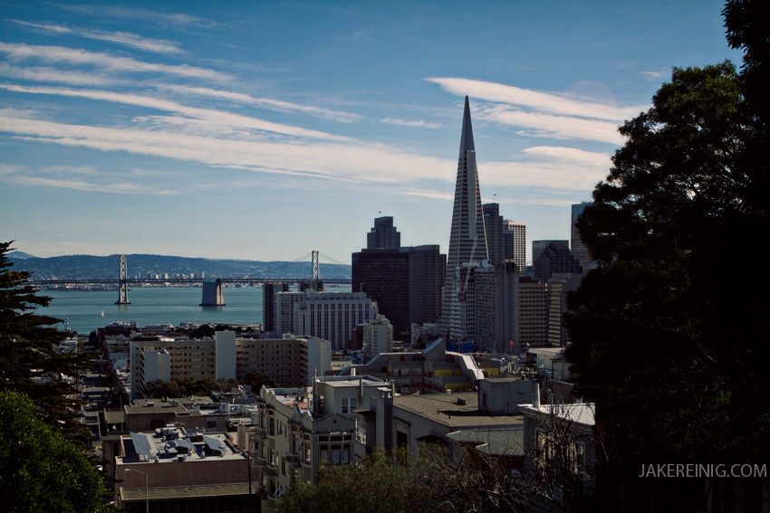 View of the city and Bay Bridge from atop one of SF's millions of hills
