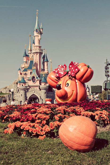 The castle, Disneyland Paris