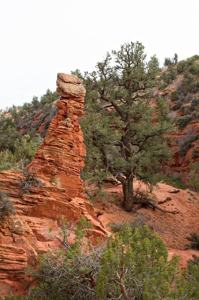 A hoodoo in Mystery Canyon near Kanab, Utah