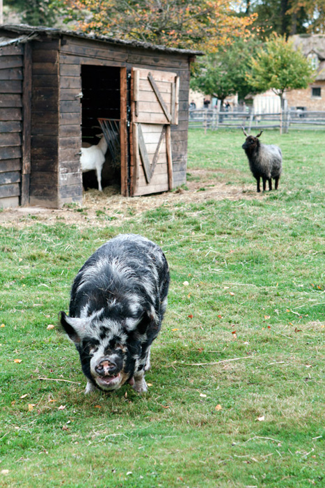 Residents, Marie Antoinette's estate
