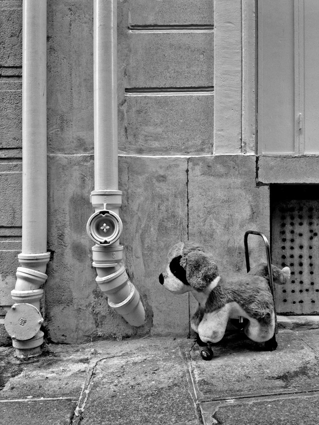 Child's dog stroller, Paris