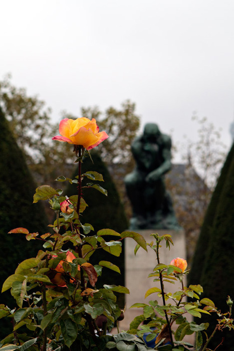 Rodin gardens and "The Thinker"