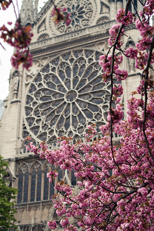 Exterior detail of the main window at Notre Dame Cathedral