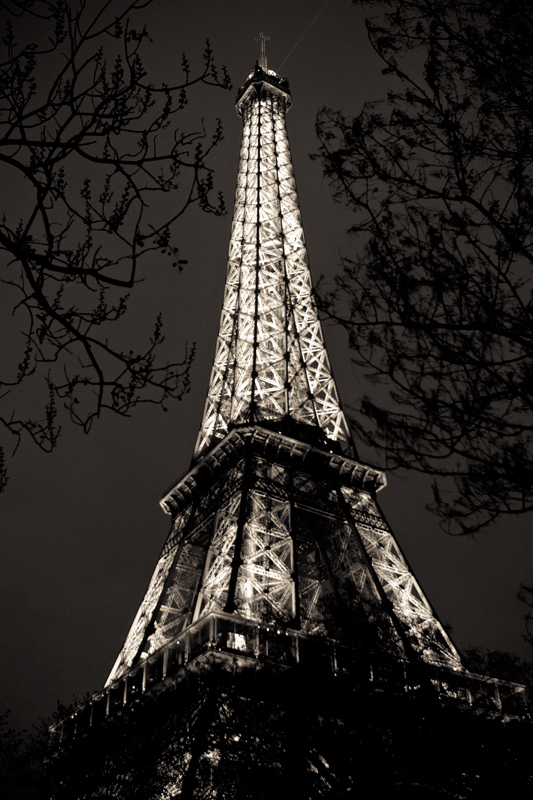 Eiffel Tower through the trees at night