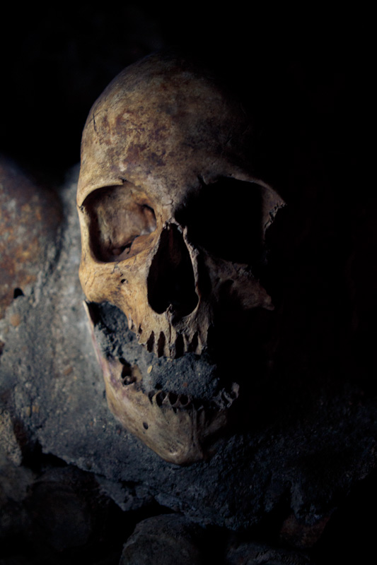 Skull, Paris catacombs