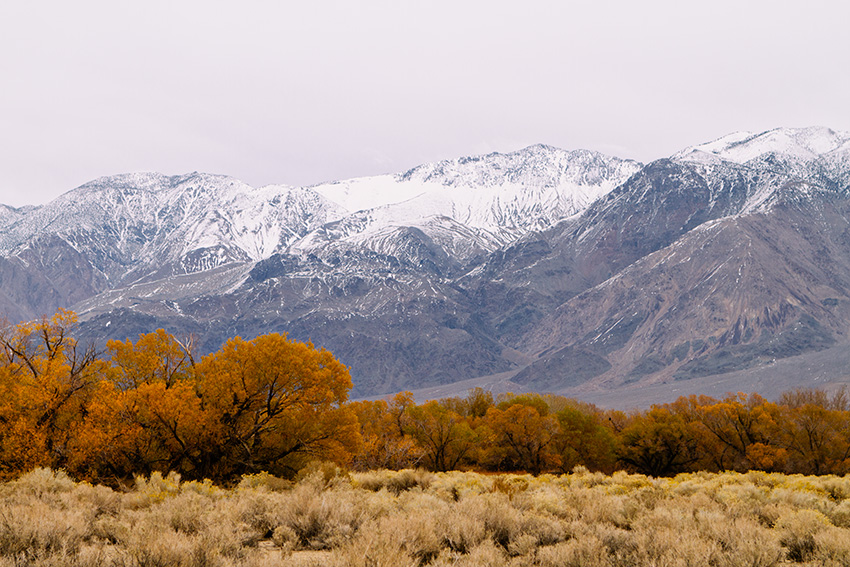 Jake Reinig Travel Photography Lone Pine