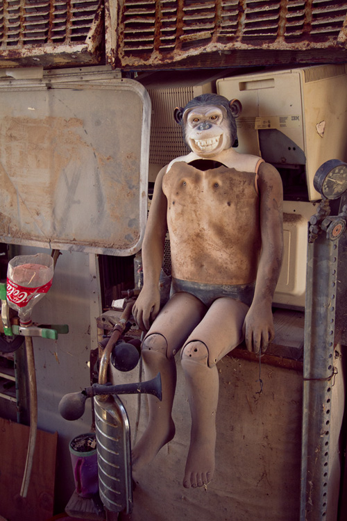 Chimpanzee boy,, East Jesus, Salton Sea