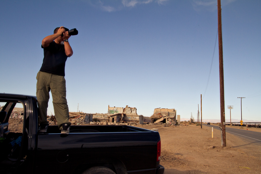 Nate with cows at the abandoned factory near Salton Sea