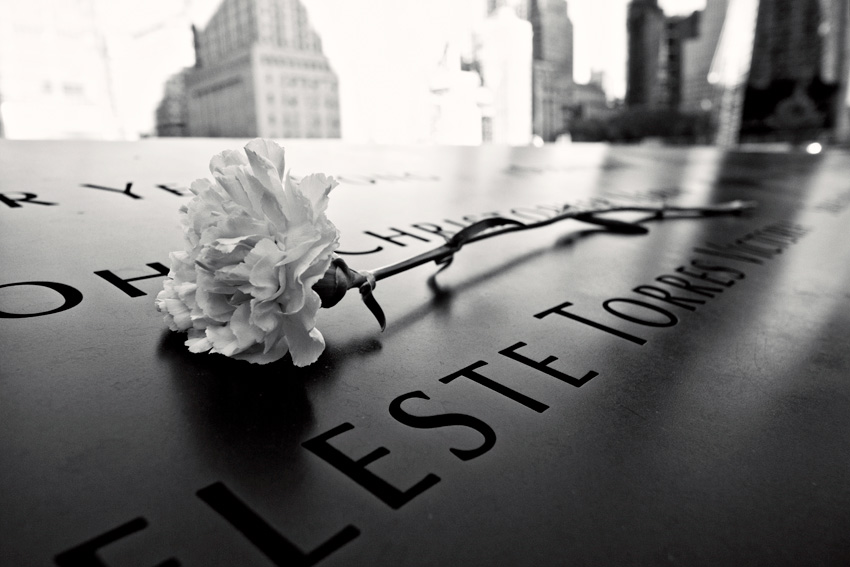 A Rose Left at the 9/11 Memorial