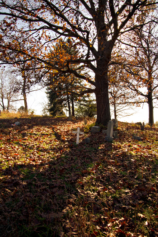 Abandoned graves, Wilkes-Barre cemetery