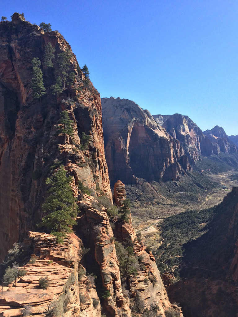 The final steep, narrow spine to get to the top of Angels Landing. 