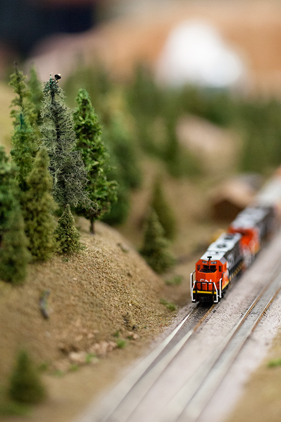 Anaheim Convention Center Model Train Expo-Miniature Eagle in Tree Next to Train