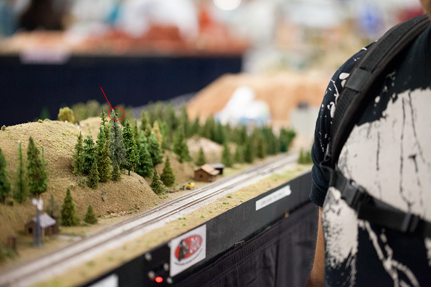 Anaheim Convention Center Model Train Expo-Scale Shot of Person Next to Mini Eagle