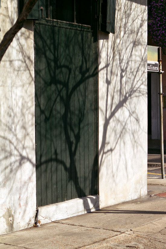 Shadow tree