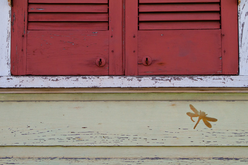 Dragonfly, French Quarter