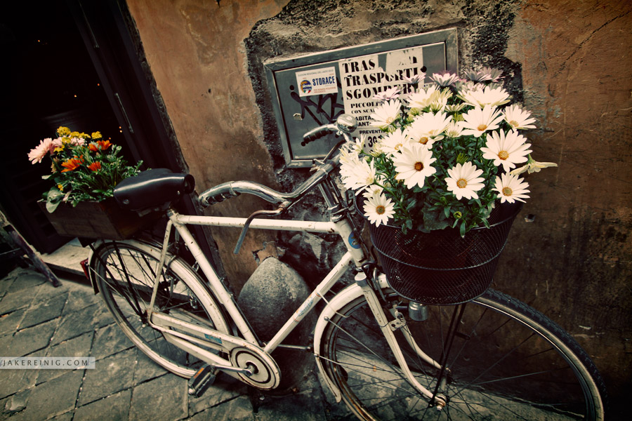 Advertisement outside a Roman flower shop