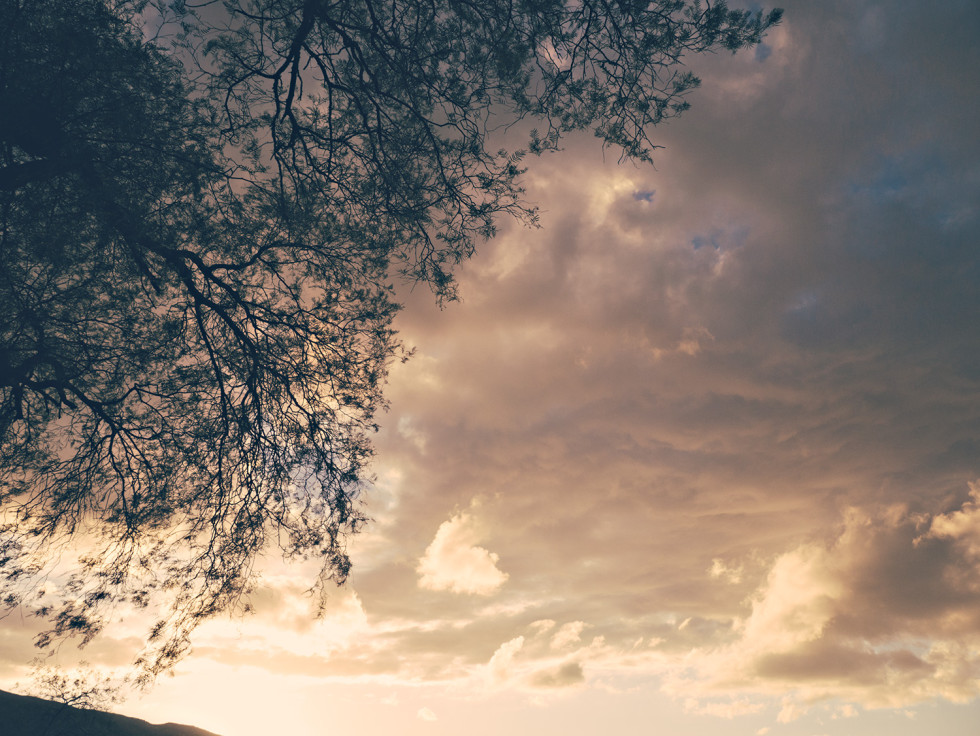 Sunset under the tree of forgetfullness